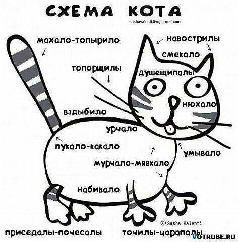 cbeef4c0e5e2a4815e67cb327a4de14e.jpg