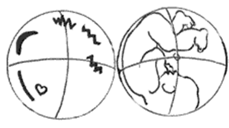Расположение ребенка в утробе. Положение плода продольное головное 1 позиция. Положение тела в пространстве. Положениеребннкавживоте. Как самой определить положение.