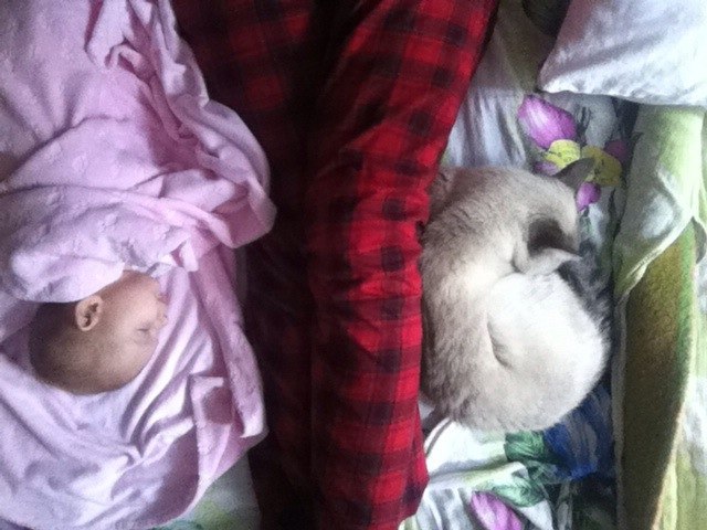 вечная троица: имама, Мирра и Фокус )))