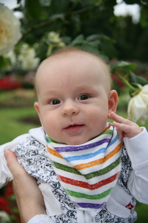 3b8797abd321e59bee2549353e83c98c.jpg