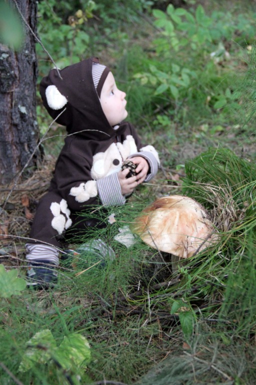 Мой сладкий медвежонок