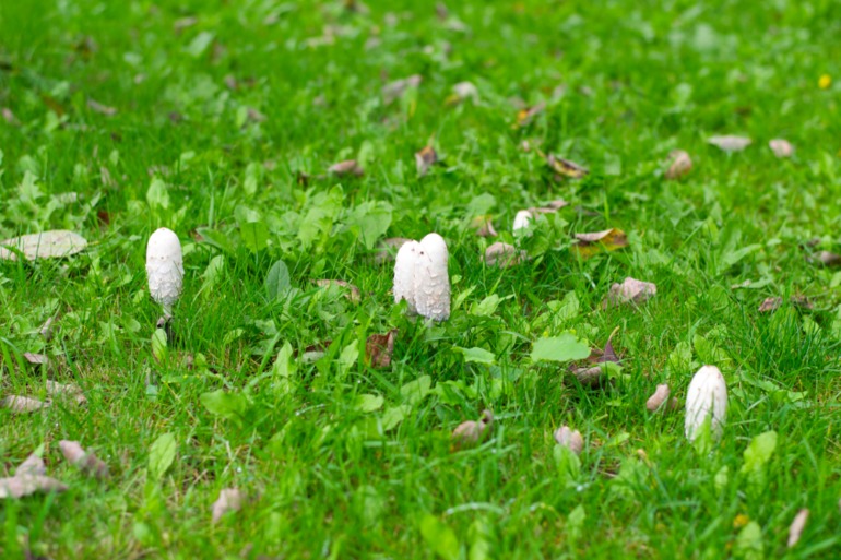 Дача. После театра поехали папу нашего отвозить...