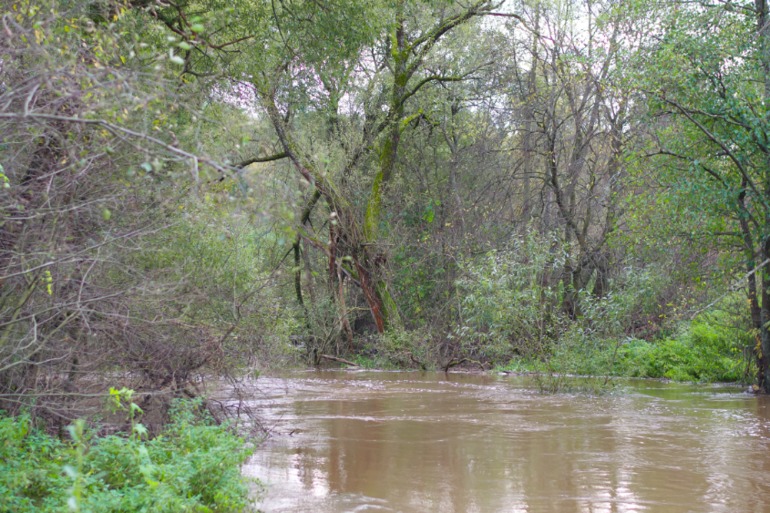 Дача. После театра поехали папу нашего отвозить...