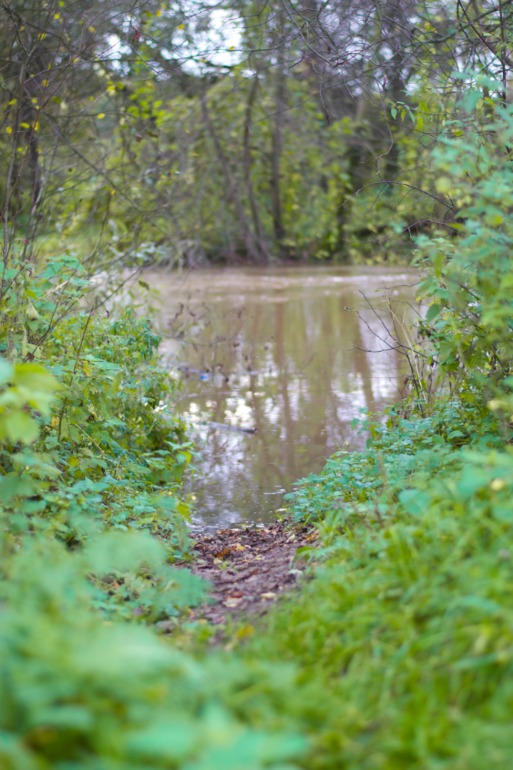 Дача. После театра поехали папу нашего отвозить...