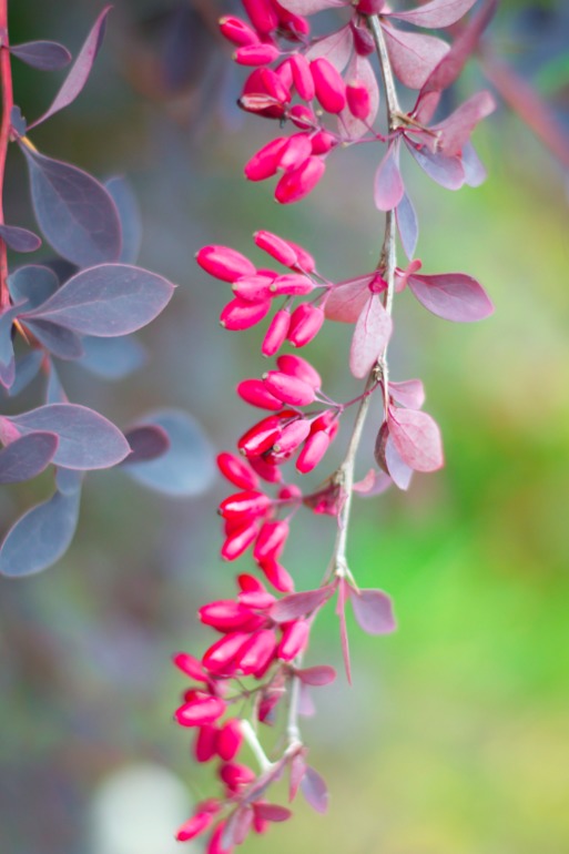 Дача. После театра поехали папу нашего отвозить...