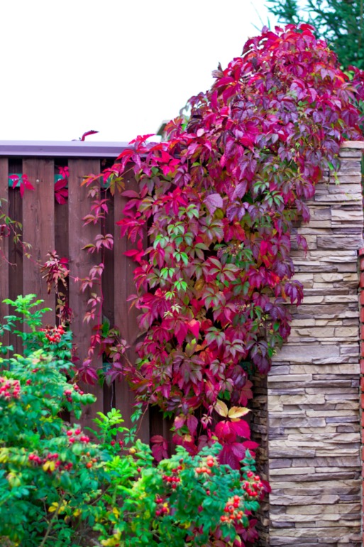 Дача. После театра поехали папу нашего отвозить...