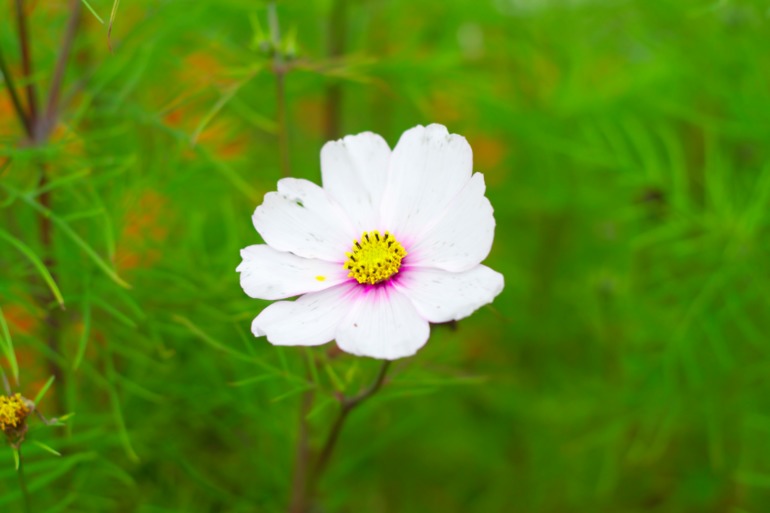 Дача. После театра поехали папу нашего отвозить...