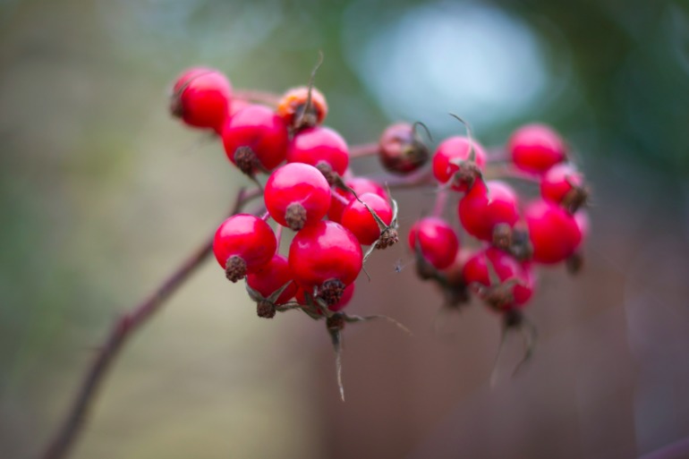 Дача. После театра поехали папу нашего отвозить...
