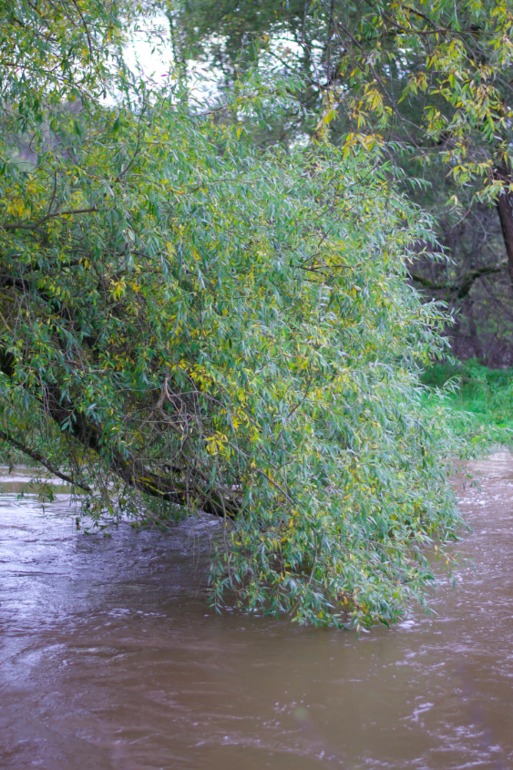 Дача. После театра поехали папу нашего отвозить...