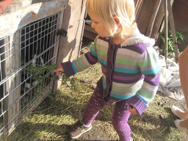 Просто немного о прошедшем лете в деревне....немного фото под катом....!!!!!!!!!!