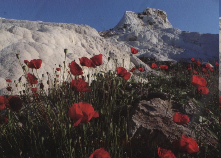 открытки августа-2