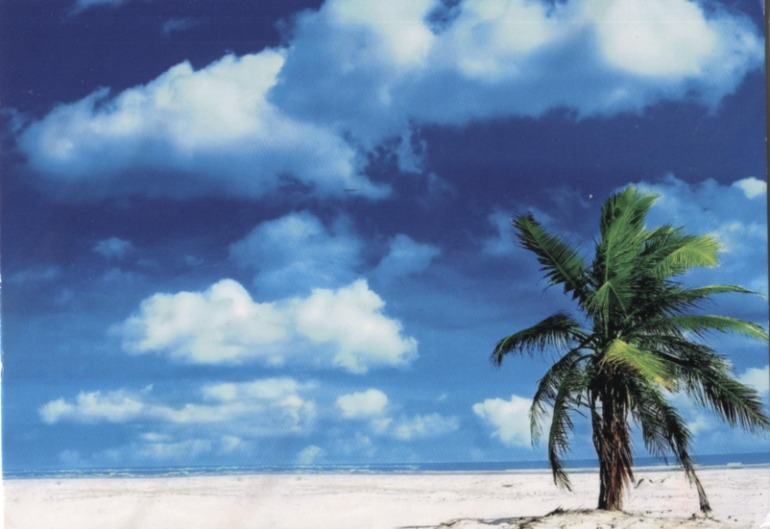 Августовские открытки