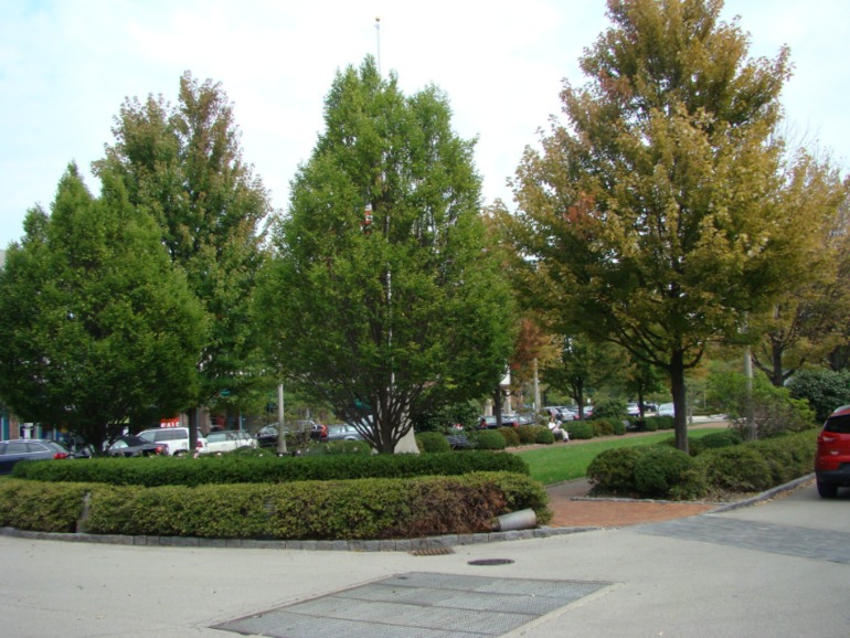 Город белых воротничков.