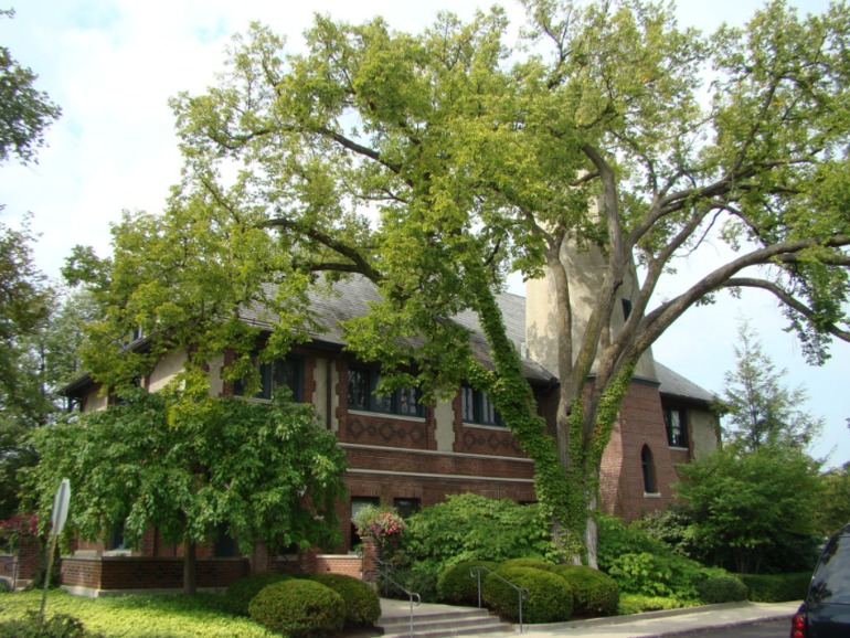 Город белых воротничков.