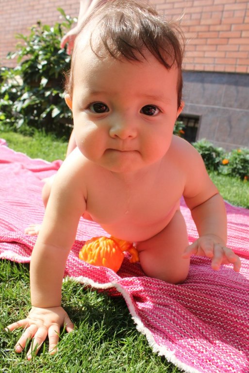 9ce008d43d326e109cd871f365aa7efe.jpg