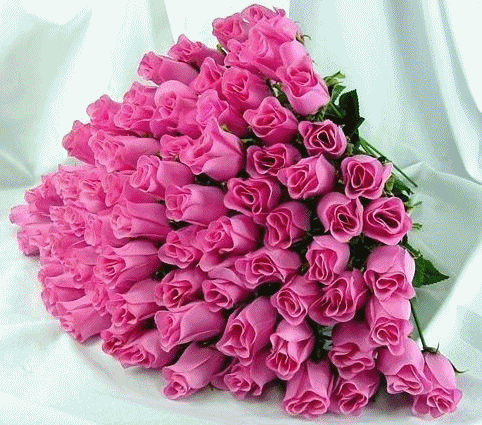 ad2eae3939733e81d5d9d05881fbdd46.gif