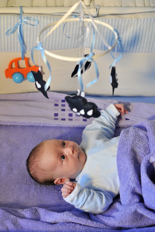 Наша прелесть :)