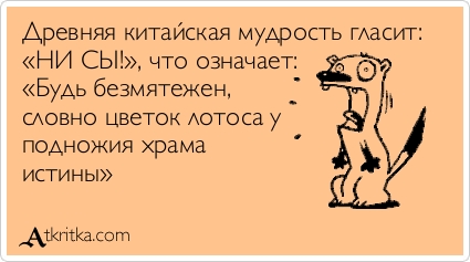 01c538bdd70df3209ccfe3c49efba47a.jpg