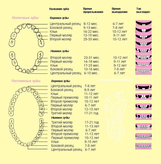 У нас прорезался первый зубик!!!