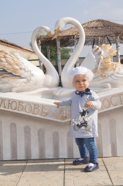 Подсолнухи, осколки солнечного дня...