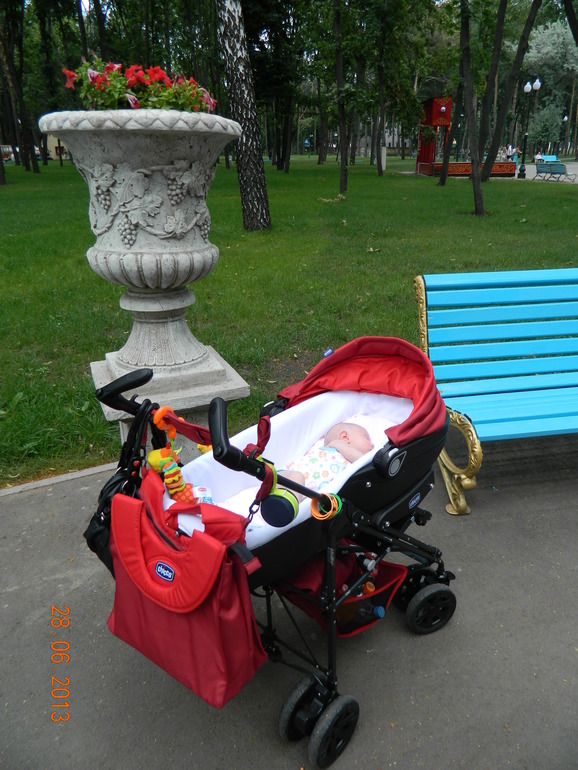 Прогулка в парке