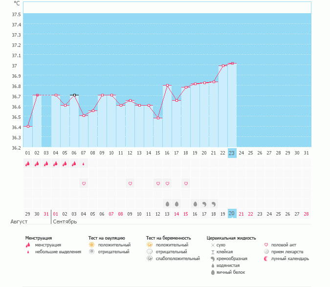 Не рисует овуляцию....