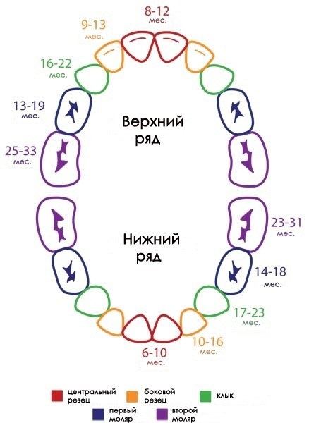 Неужели правда?!
