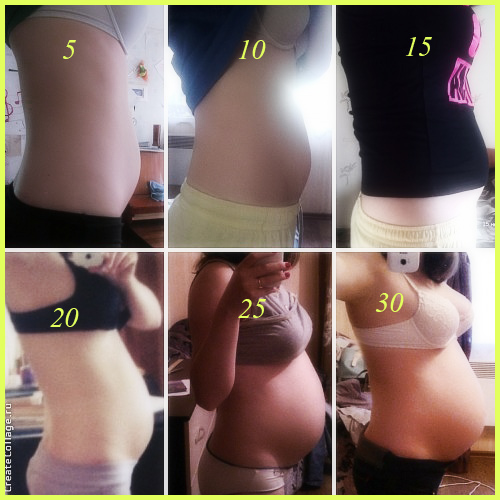 пузорост 5-30 недель)