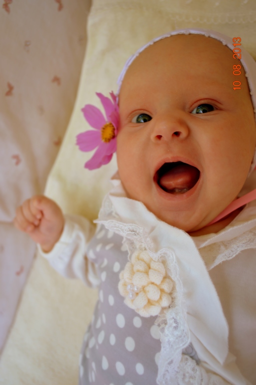 01580d3d3d69a68ecfb399bde89600ab.jpg