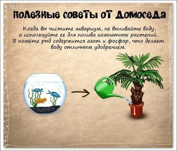 Хозяйке на заметку