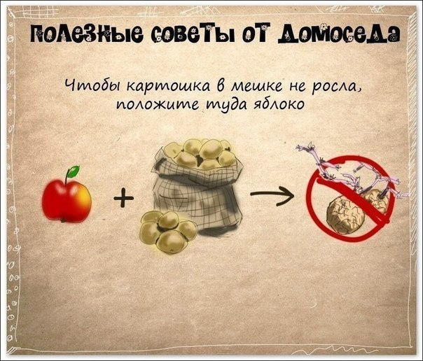 Хозяйке на заметку