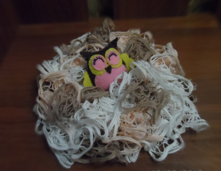 Сова в гнезде : )