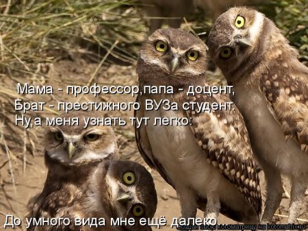 Позитивчик:)))
