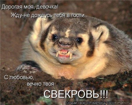 Позитивчик:)))