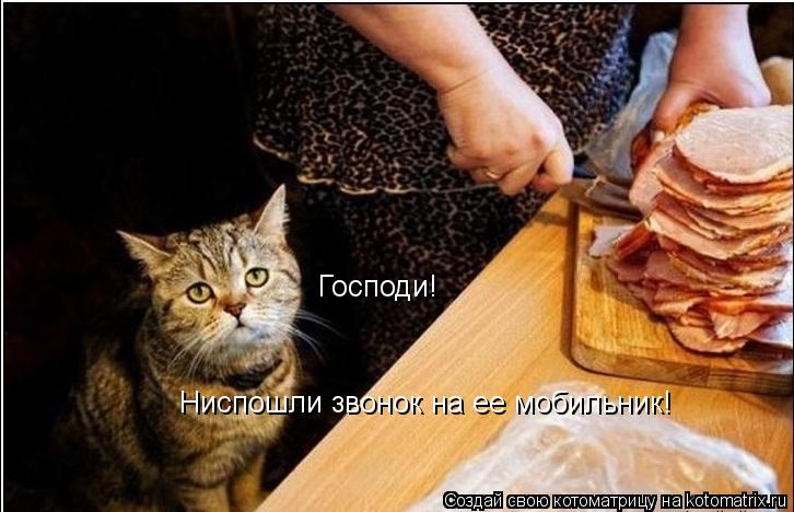 Позитивчик:)))