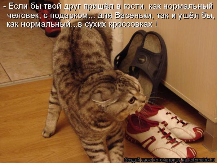 Позитивчик:)))