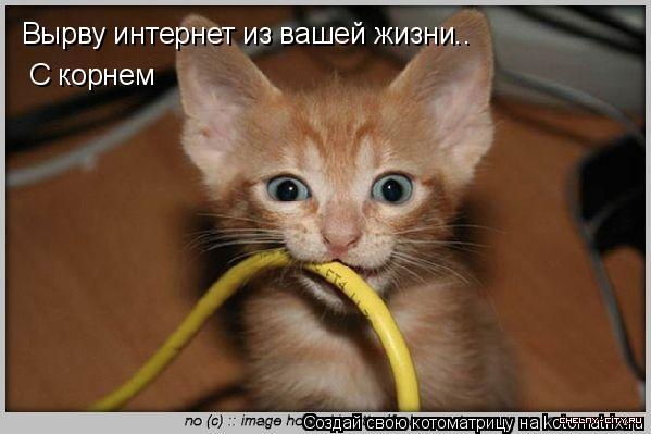 Позитивчик:)))