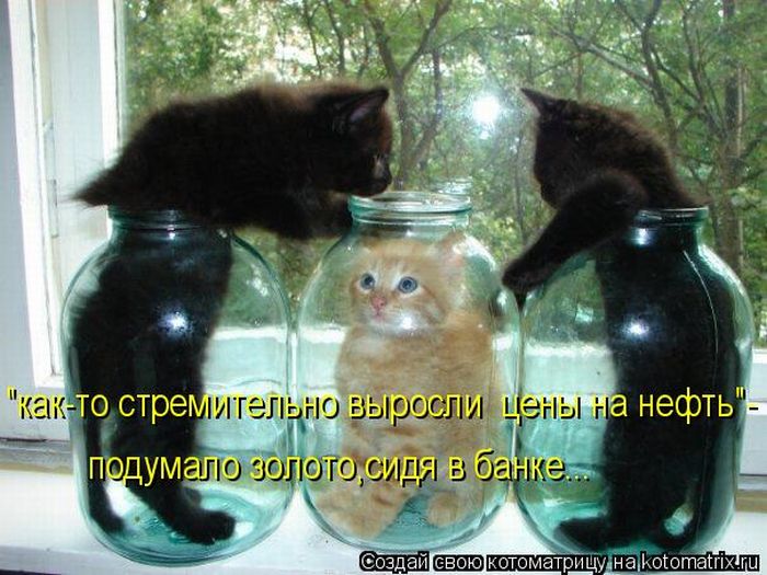 Позитивчик:)))