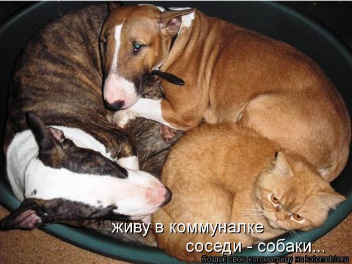 Позитивчик:)))