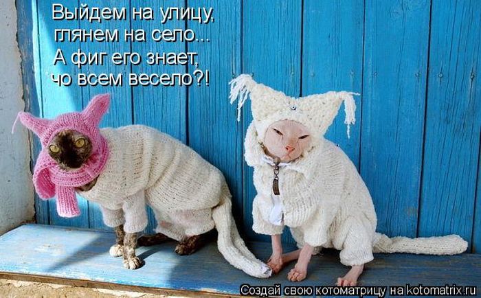 Позитивчик:)))