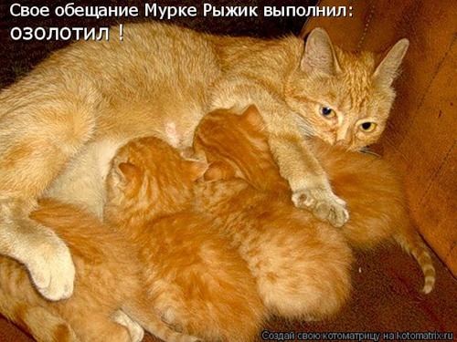 Позитивчик:)))