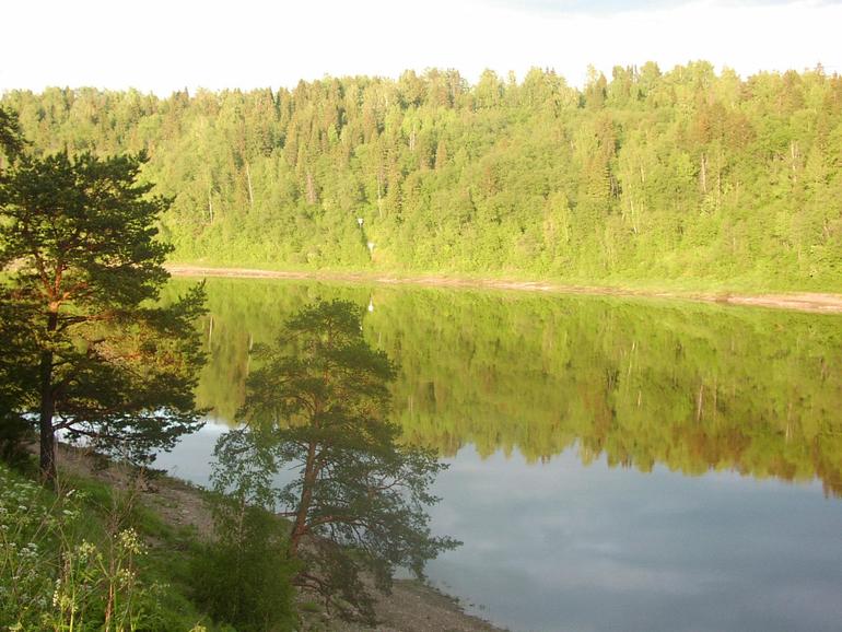 Сплетник нюксеница. Село Нюксеница Вологодская область. Природа Нюксеница Вологодская. Река Нюксеница Вологодская область. Нюксеница Вологодская область достопримечательности.