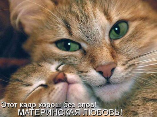 Позитивчик:)))