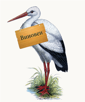 Надо подать в суд на аистов! Ровно 40 неделя.