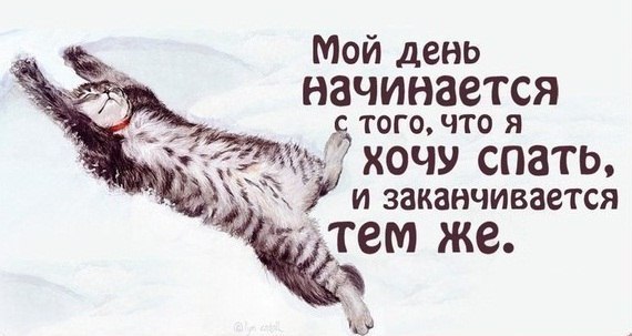 dabdb654a3fd51afa07dd3d94a6af25c.jpg