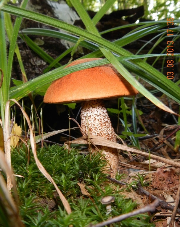 e2ae588d9faf105a47cc5f84f17560d0.jpg