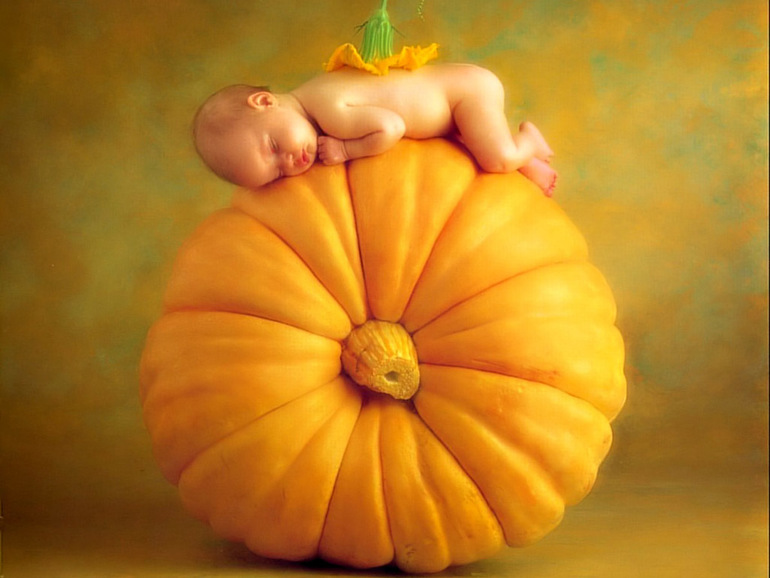 Подготовка началась
