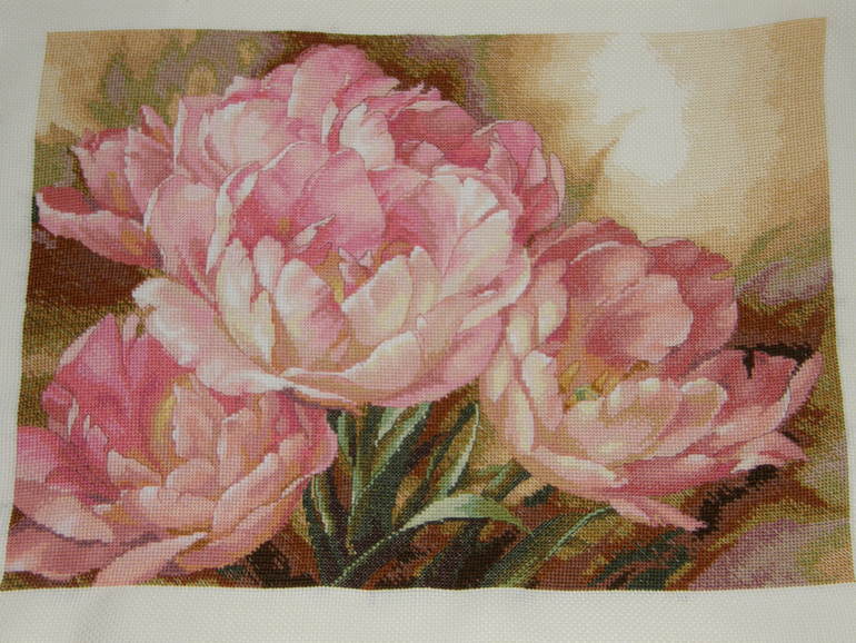 Трио тюльпанов от ДИМ