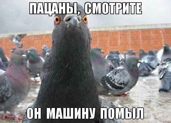 89bf10329e68162bfc34fe7ab6864710.jpg