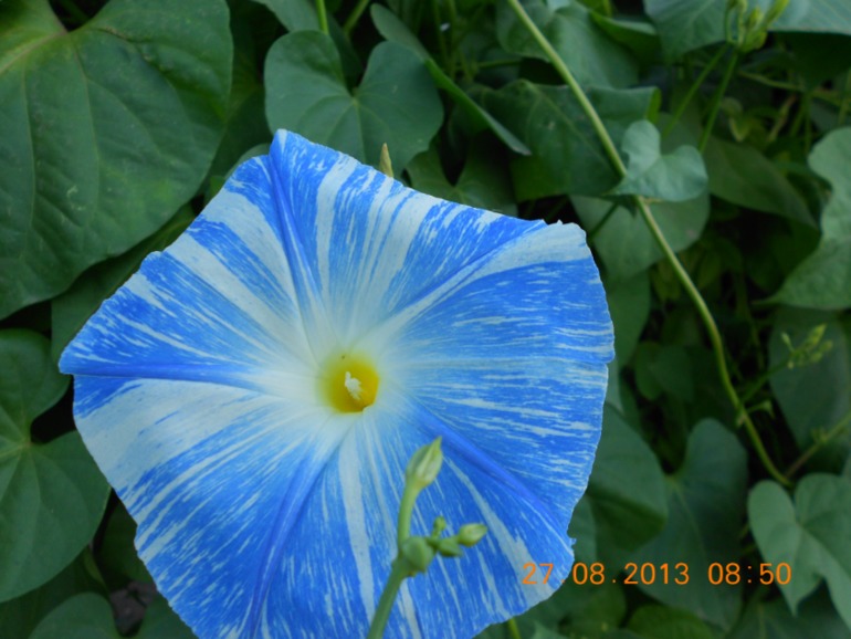 8ee367ebc366b4892b2856d70cbb203b.jpg
